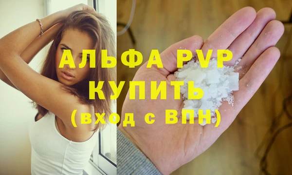хмурый Пересвет