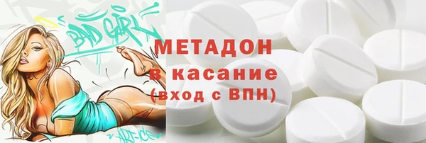 хмурый Пересвет