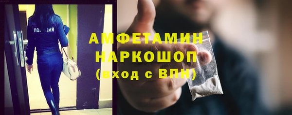 хмурый Пересвет