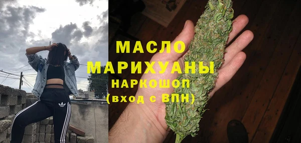хмурый Пересвет