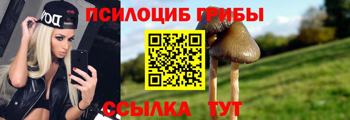 Галлюциногенные грибы прущие грибы  Вход с VPN  Галлюциногенные грибы Magic Shrooms  Тула 
