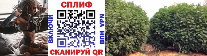 Конопля LSD WEED  Тула 