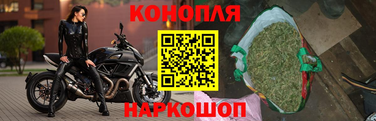 Каннабис сатива Тула